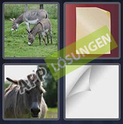 4 bilder 1 wort level 197 lösung ESELOHR 4 bilder 1 wort level 197 lösung ESELOHR - 4 bilder 1 wort level 197 lösung ESELOHR