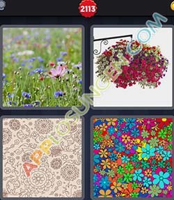 4 Bilder Und 1 Wort 4 Bilder Und 1 Wort
