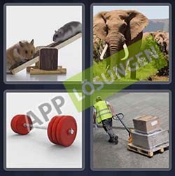 4 bilder 1 wort level 336 lösung SCHWER 4 bilder 1 wort level 336 lösung SCHWER - 4 bilder 1 wort level 336 lösung SCHWER
