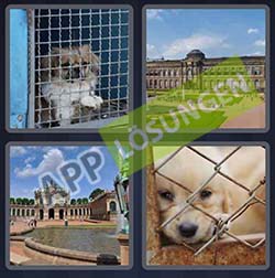 4 Bilder Und 1 Wort 4 Bilder Und 1 Wort