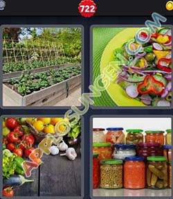 4 Bilder Und 1 Wort 4 Bilder Und 1 Wort