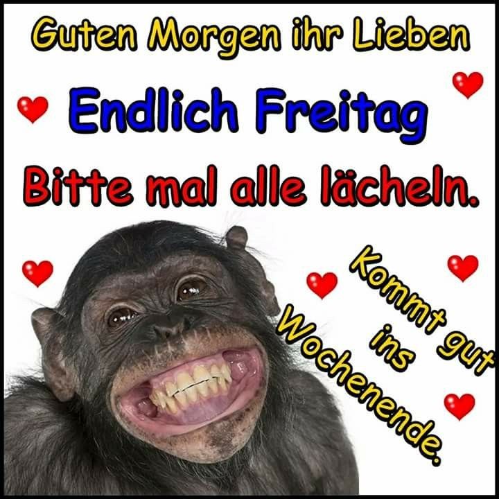 Auf den schwanz pissen
