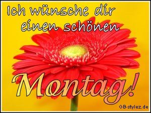 Bilder zu montag morgen Bilder zu montag morgen - Bilder zu montag morgen