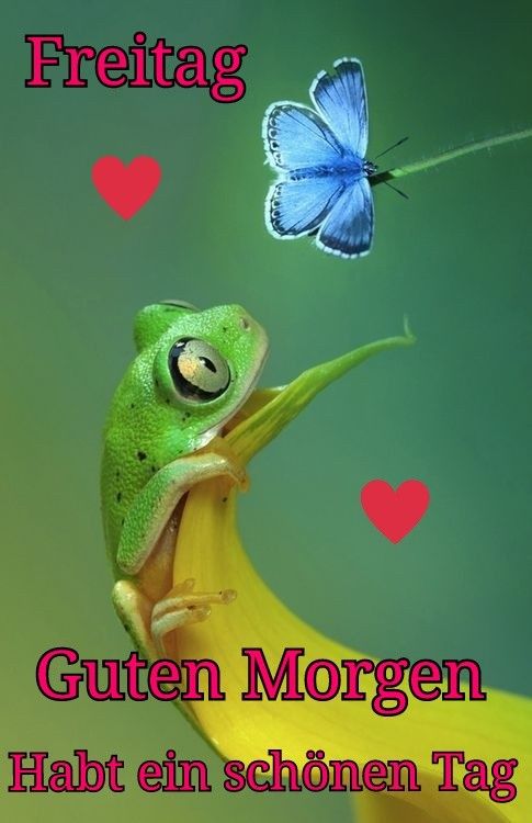 Download Guten morgen spruch zum freitag For Free