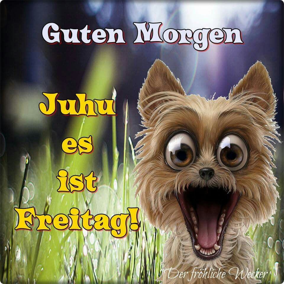 Schönen freitag abend und gute nacht Bilder und Sprüche für Whatsapp