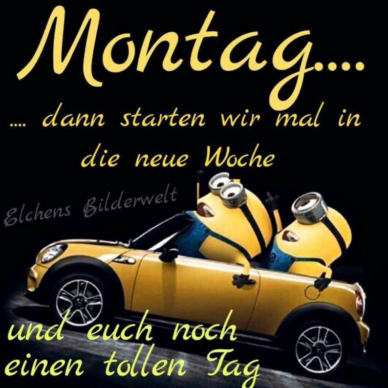 Guten montag bilder lustig Bilder und Sprüche für Whatsapp und