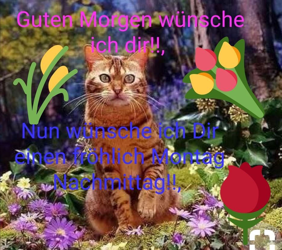 Download Frech montag sprueche weisheiten Free