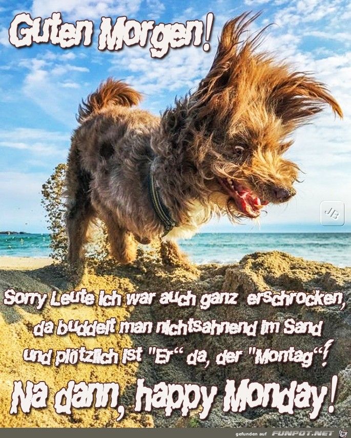 Montag bilder und sprüche Bilder und Sprüche für Whatsapp und
