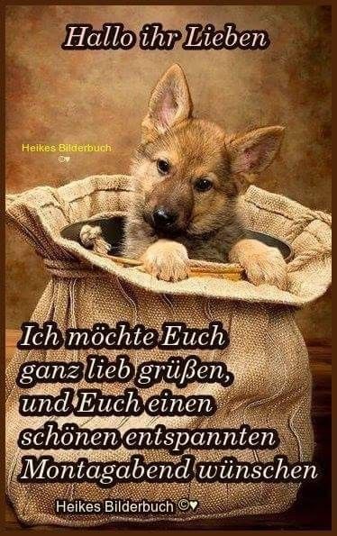 Die 118 Besten Bilder Zu Montag Montag Montag Grusse Montag Spruche