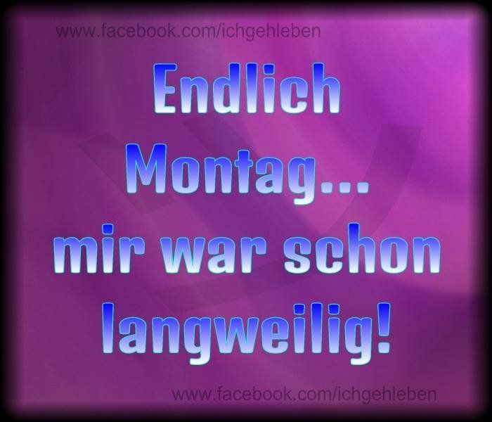Schönen montag video Schönen montag video - Schönen montag video