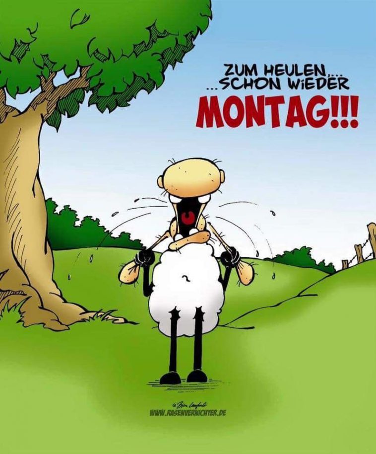 Bilder montag positiv Bilder und Sprüche für Whatsapp und Facebook kostenlos