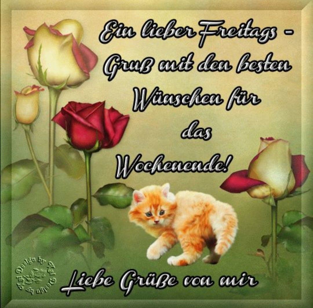 Schönen freitag nachmittag Bilder und Sprüche für Whatsapp und