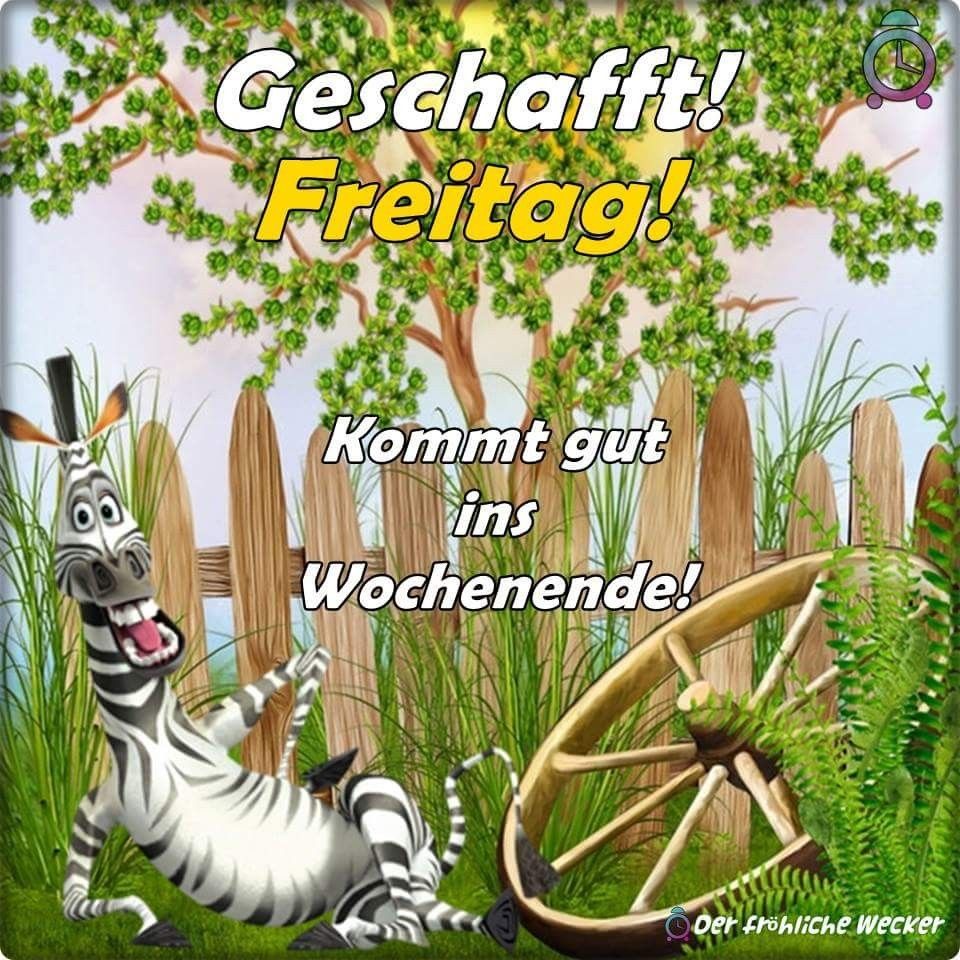 Schönen freitag sprüche bilder Bilder und Sprüche für Whatsapp und