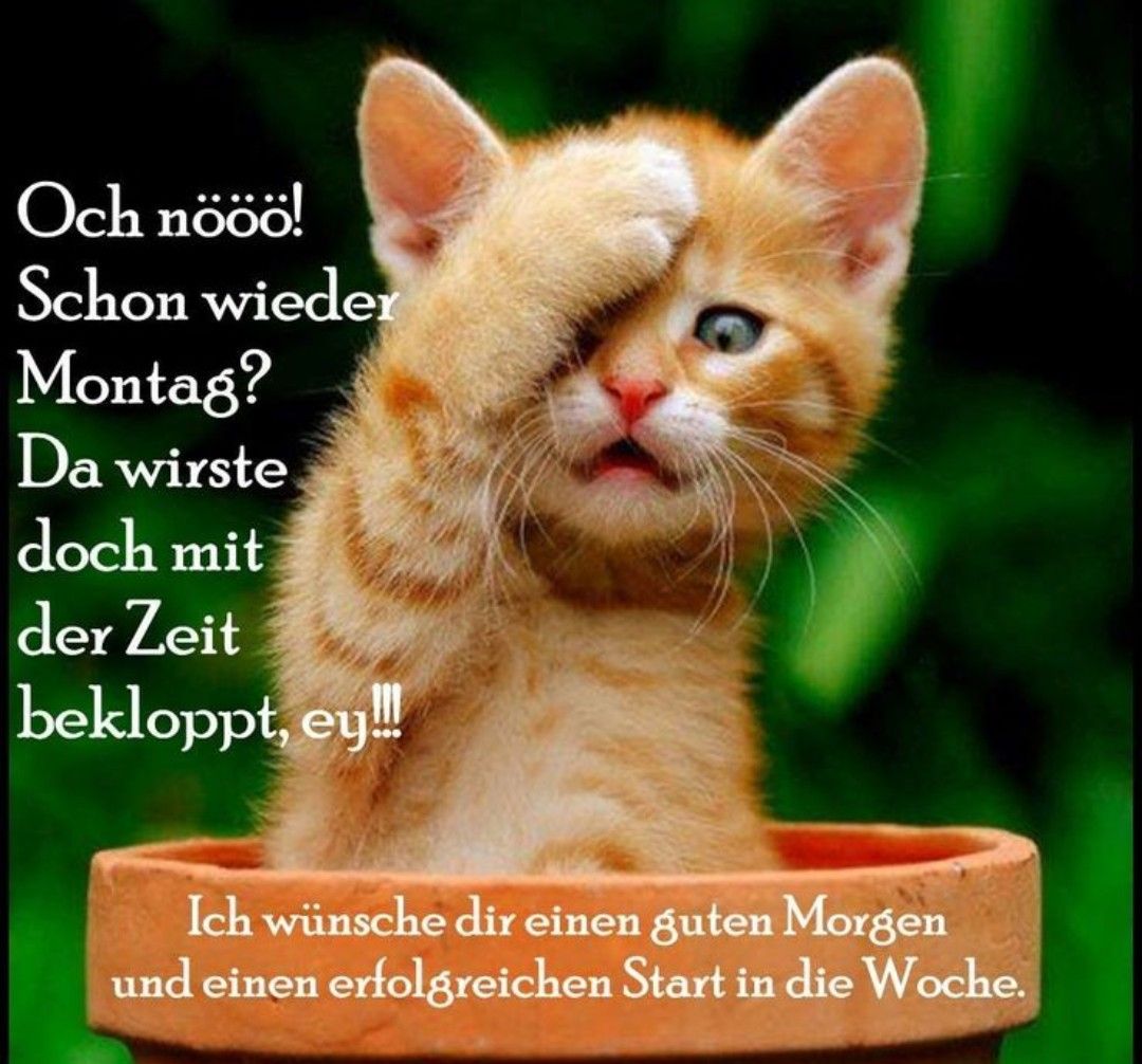 SchГ¶nenmontag SchГ¶nenmontag