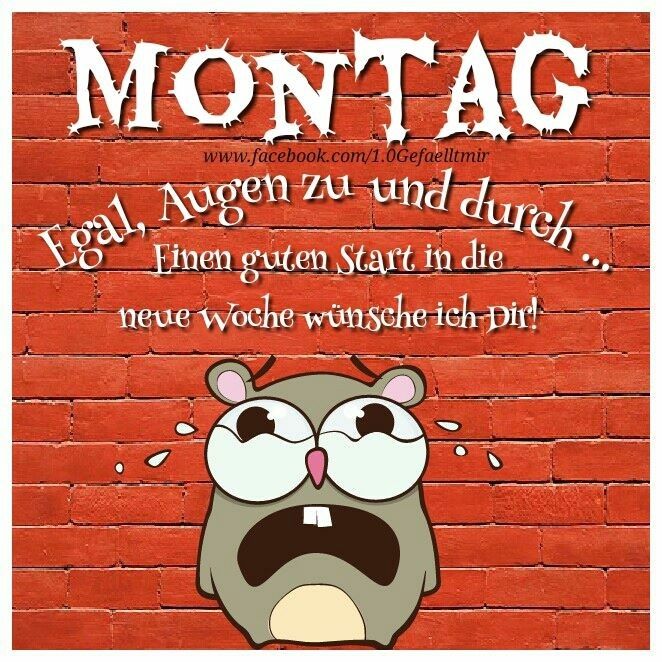 coole sprüche montag Bilder und Sprüche für Whatsapp und Facebook