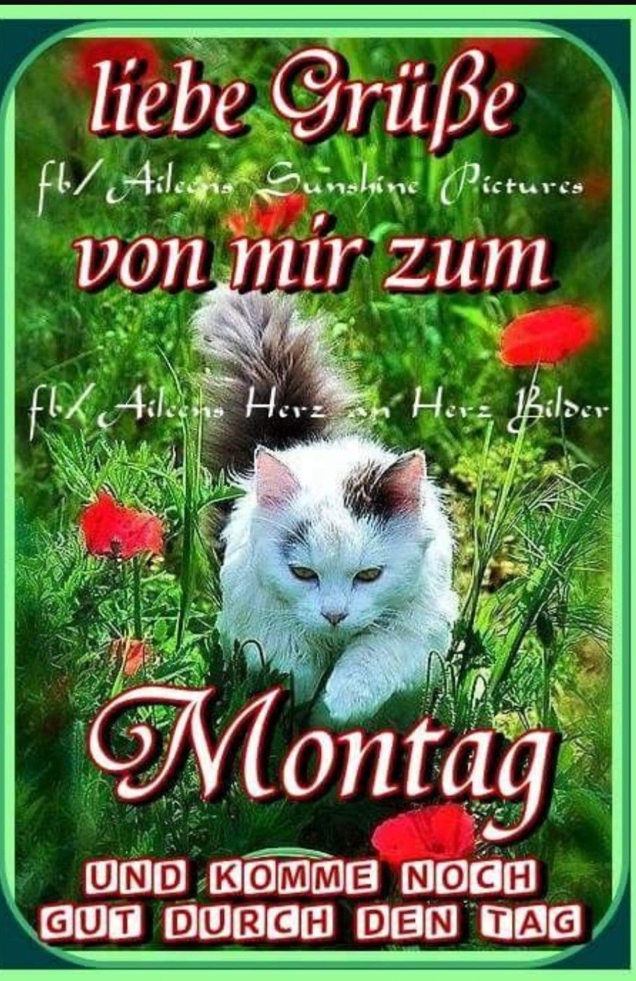 lustige sprüche montag Bilder und Sprüche für Whatsapp und