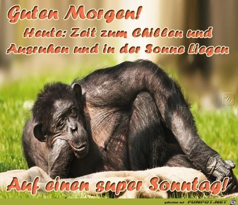 Sonntag Guten Morgen Lustig Guten Morgen Sonntag Guten Morgen Baby