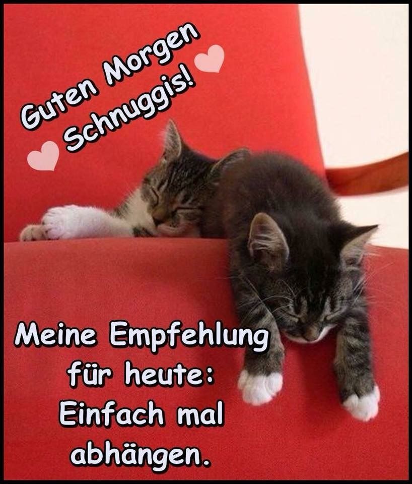 Einen schönen tag sprüche Bilder und Sprüche für Whatsapp und