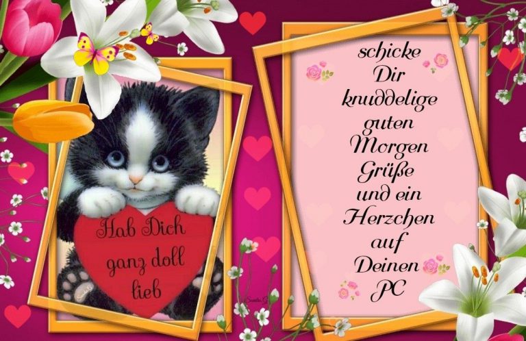 Freche guten sprüche Bilder und Sprüche für Whatsapp und