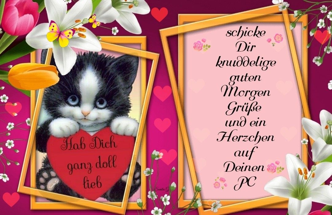 Freche guten sprüche Bilder und Sprüche für Whatsapp und