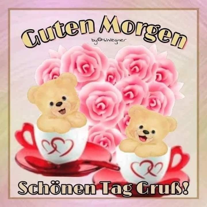 Guten Morgen Eule Bilder Und Spruche Fur Whatsapp Und Facebook Kostenlos