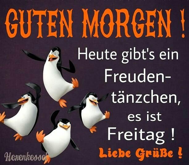 Lustige bilder zu freitag