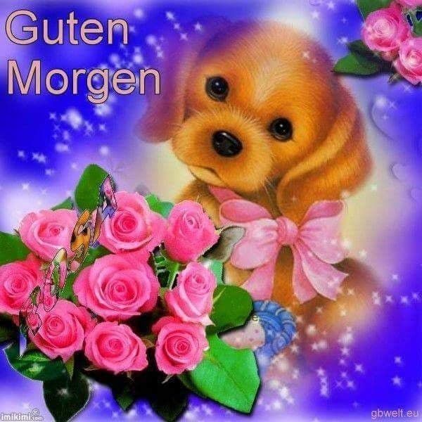 Guten morgen schöne Guten morgen schöne - Guten morgen schöne