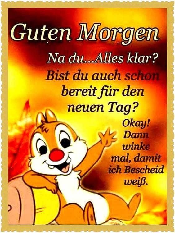 guten morgen schatz spr 252 che bilder und spr 252 che f 252 r guten morgen schatz spr 252 che bilder und spr 252 che f 252 r