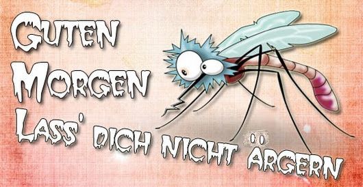 Guten schön das es dich gibt Bilder und Sprüche für Whatsapp