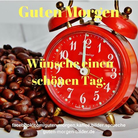 Guten morgen tiger Guten morgen tiger - Guten morgen tiger