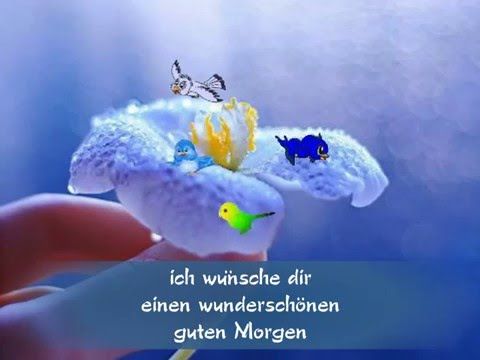 Get Sinnliche sprueche bilder For Android Free