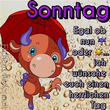 Mahlzeit und schönen sonntag Mahlzeit und schönen sonntag - Mahlzeit und schönen sonntag