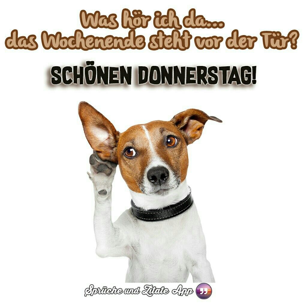 Mittagsgruss Mahlzeit Bilder Lustig