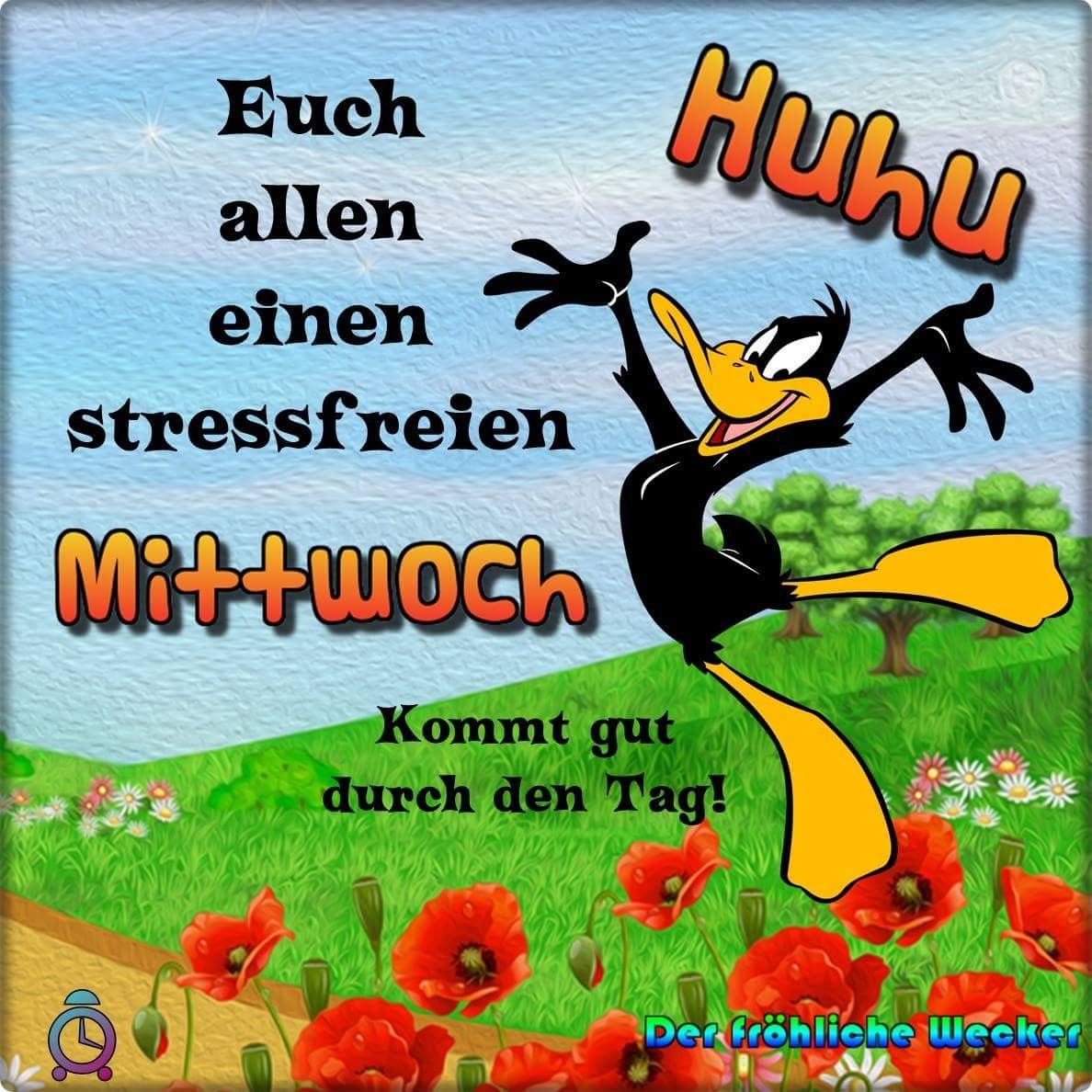 Danke Schonen Mittwoch Bilder Und Spruche Fur Whatsapp Und Facebook Kostenlos