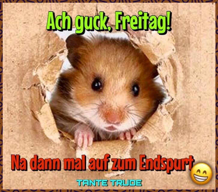Morgen gruß spruch Morgen gruß spruch - Morgen gruß spruch