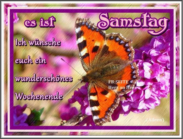 Guten samstag bilder blumen Bilder und Sprüche für Whatsapp