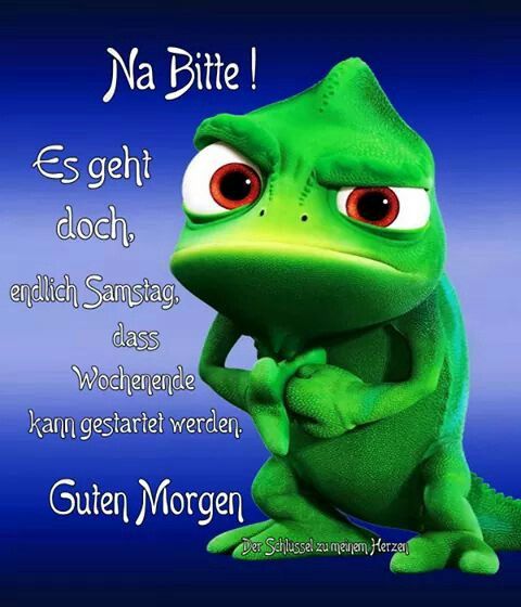 Guten Morgen Samstag Lustig Guten Morgen Samstag Lustig