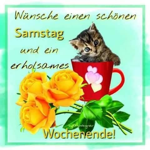 Download Sprueche ende wochenende For iPhone Free Sprueche Ende Wochenende