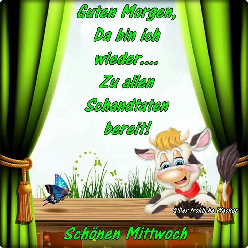 Guten Morgen Kaffeetasse Bilder Und Spruche Fur Whatsapp Und Facebook Kostenlos