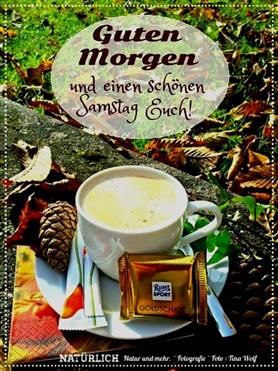 Download Schoene zitate guten morgen For Android Free