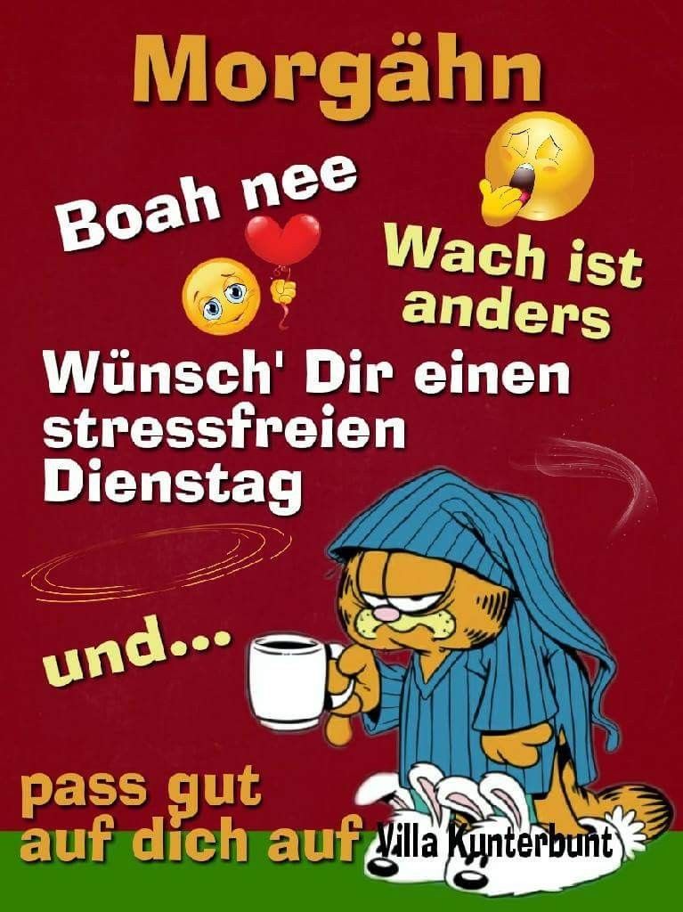 Dienstag bilder lustig Bilder und Sprüche für Whatsapp und Facebook