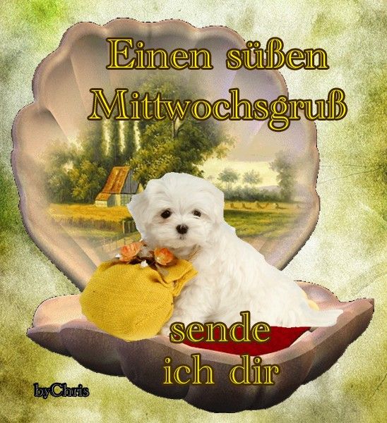 Bilder zum wochenende für whatsapp
