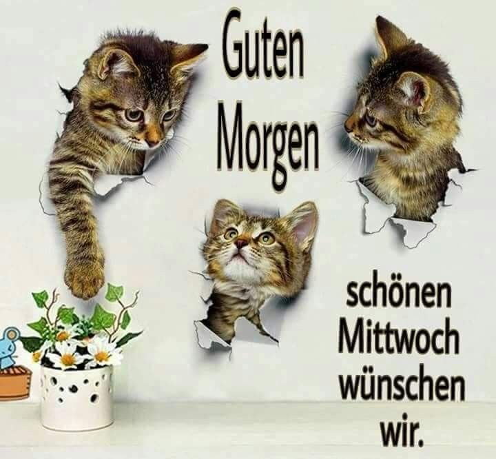 Morgen ist mittwoch bilder