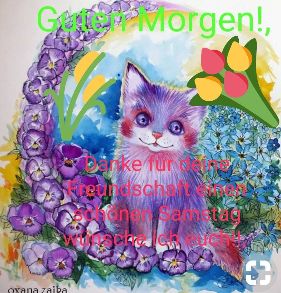 Samstag abend lustig gif Bilder und Sprüche für Whatsapp und Facebook