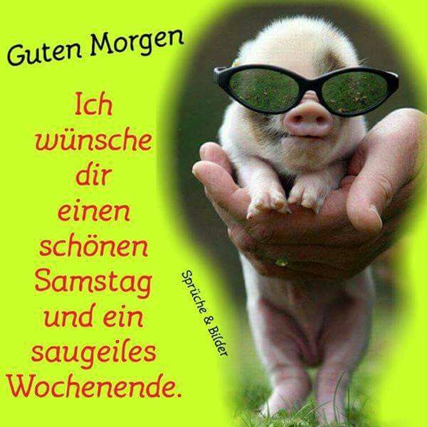 Guten morgen gifs bilder