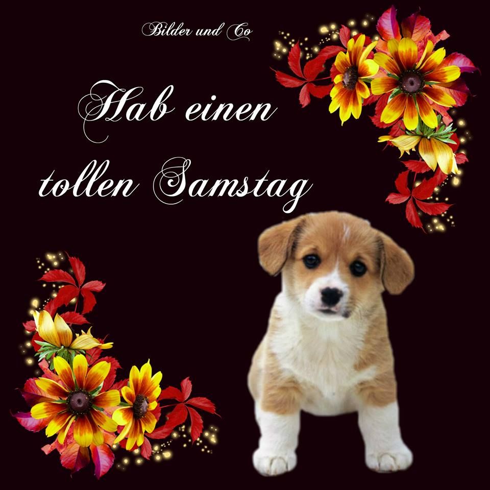 Samstag Bilder Lustig