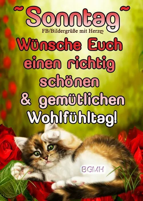 Lustige Bilder Und Spruche Zum Sonntag Kostenlos Lustige Sprüche