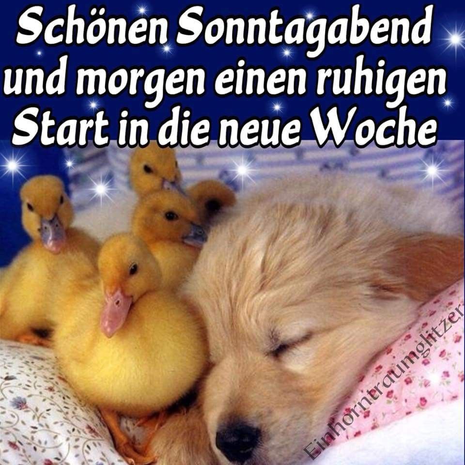 Sonntagabend Sprüche Sonntagabend Sprüche