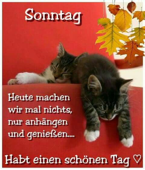 Guten abend bilder sonntag