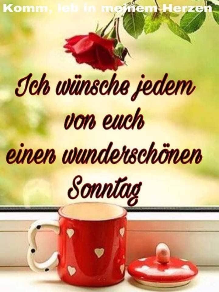 Schönen sonntag natur Bilder und Sprüche für Whatsapp und Facebook